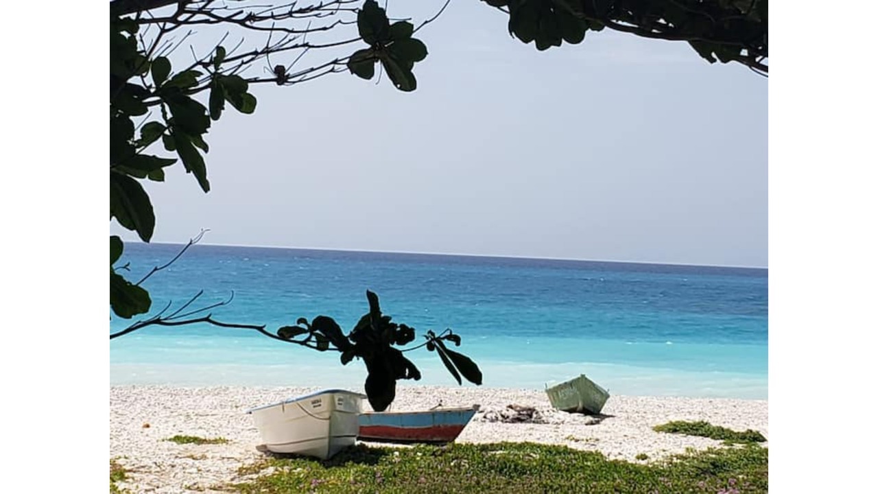 Photo of Others in Paraiso
