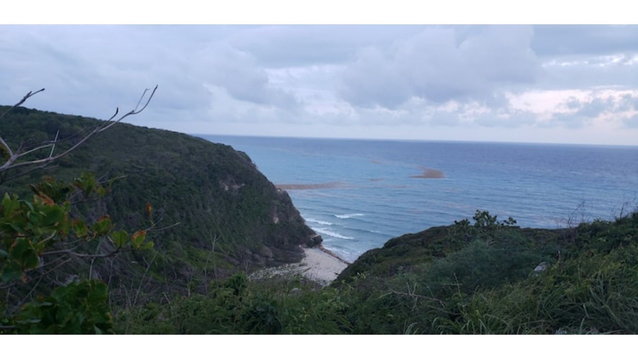 Photo of Others in Paraiso