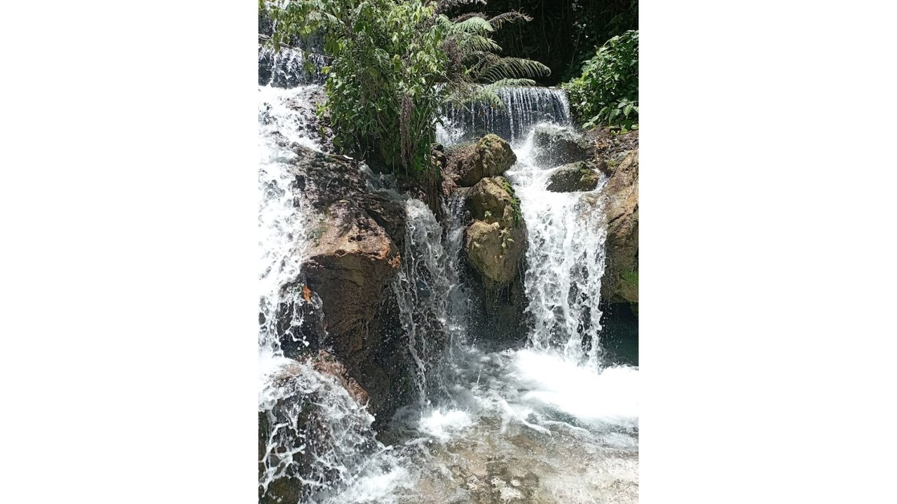 Photo of Outdoor in Paraiso