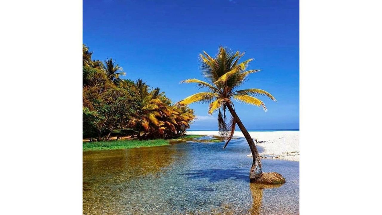 Photo of Others in Paraiso