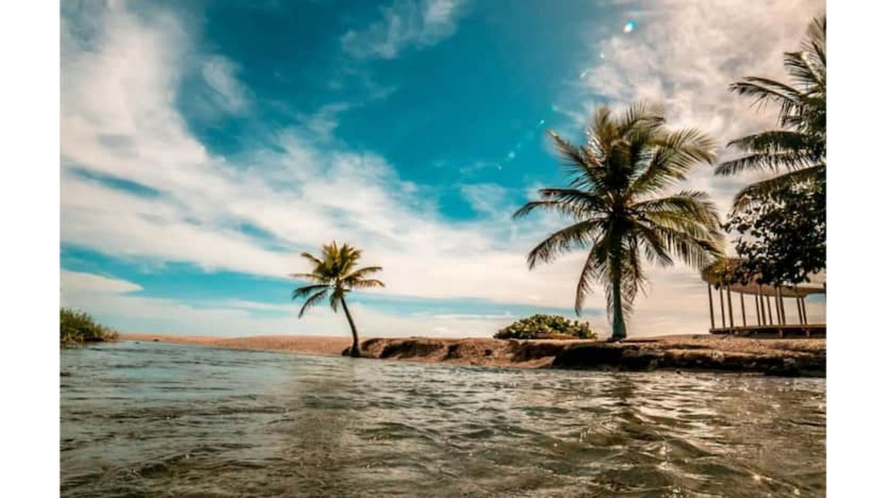 Photo of Others in Paraiso
