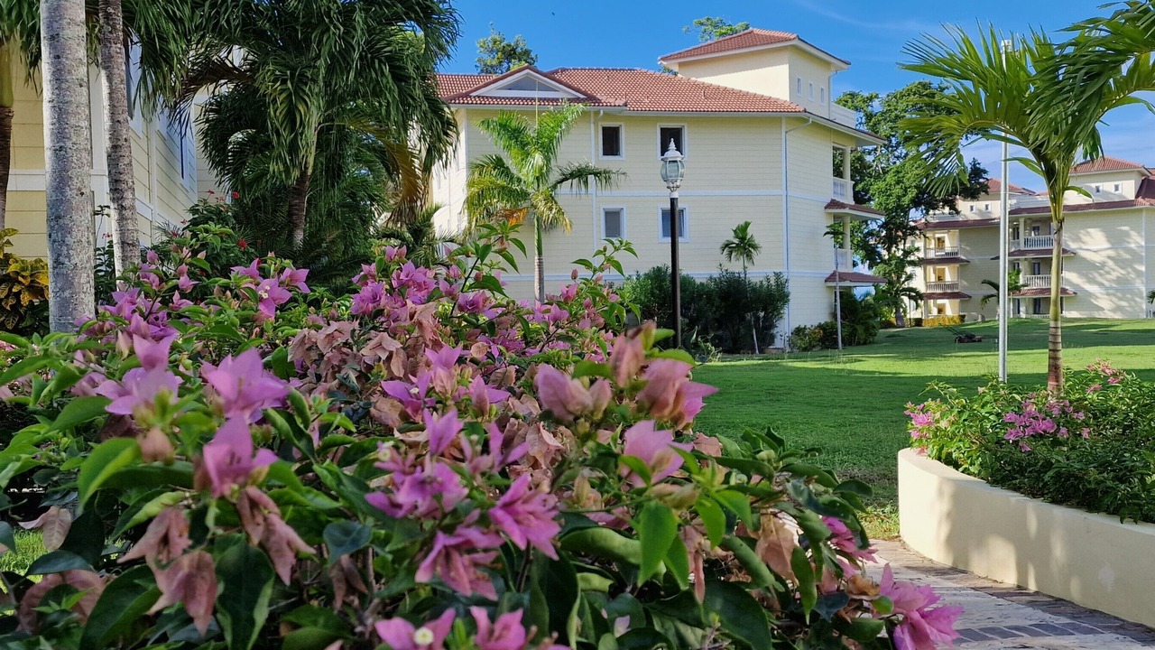 Photo of Outdoor in Playa Chiquita
