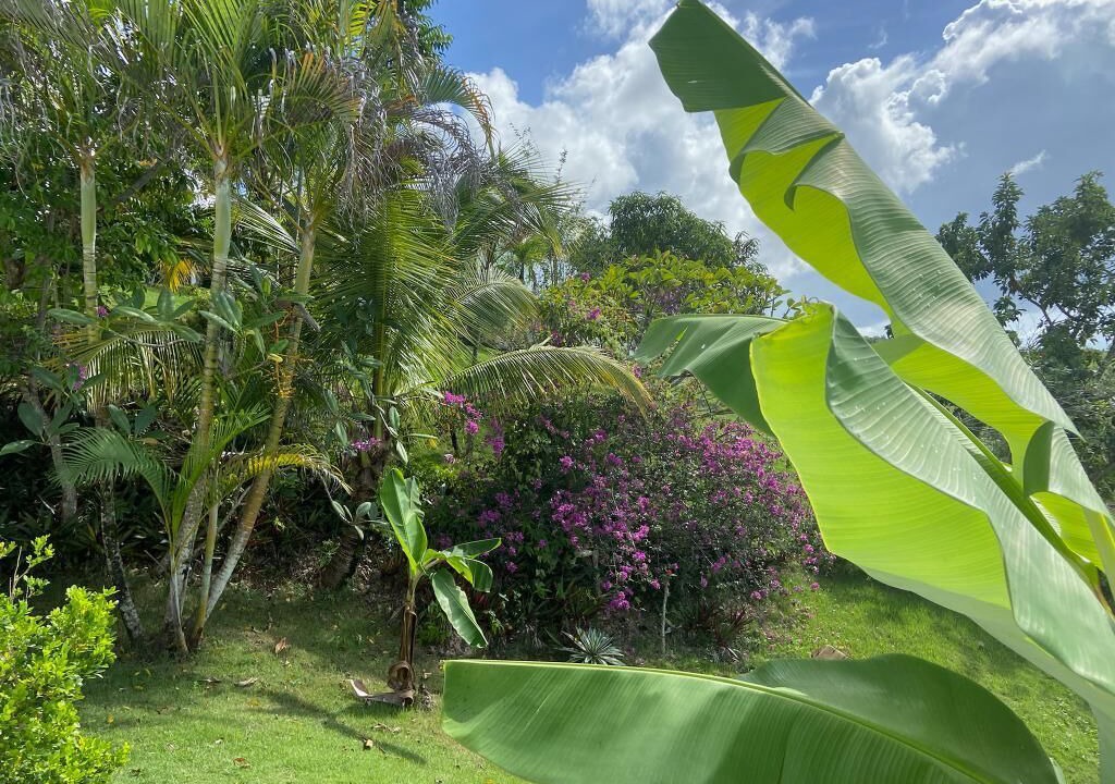 Photo of Outdoor in Rio San Juan