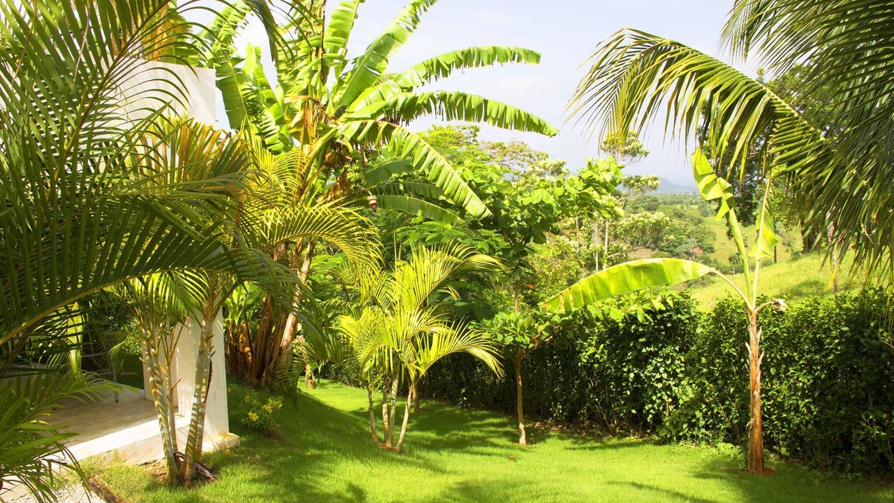 Photo of Outdoor in Rio San Juan