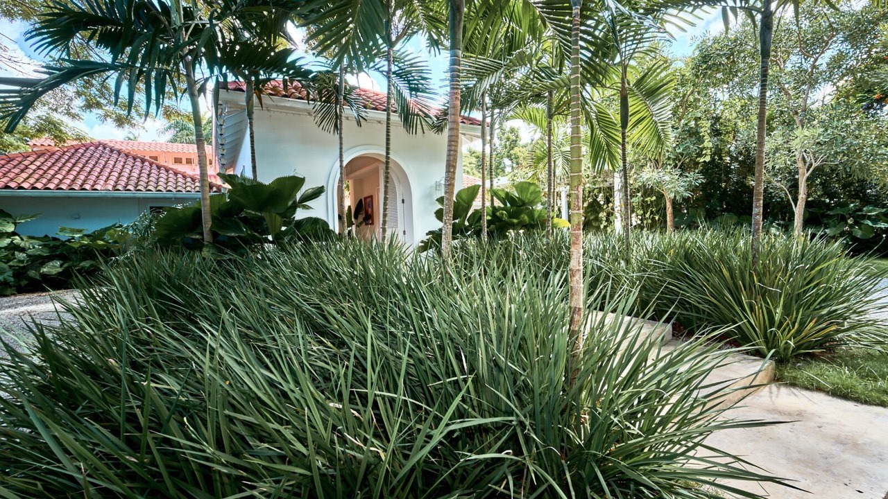 Photo of Outdoor in Los Lagos