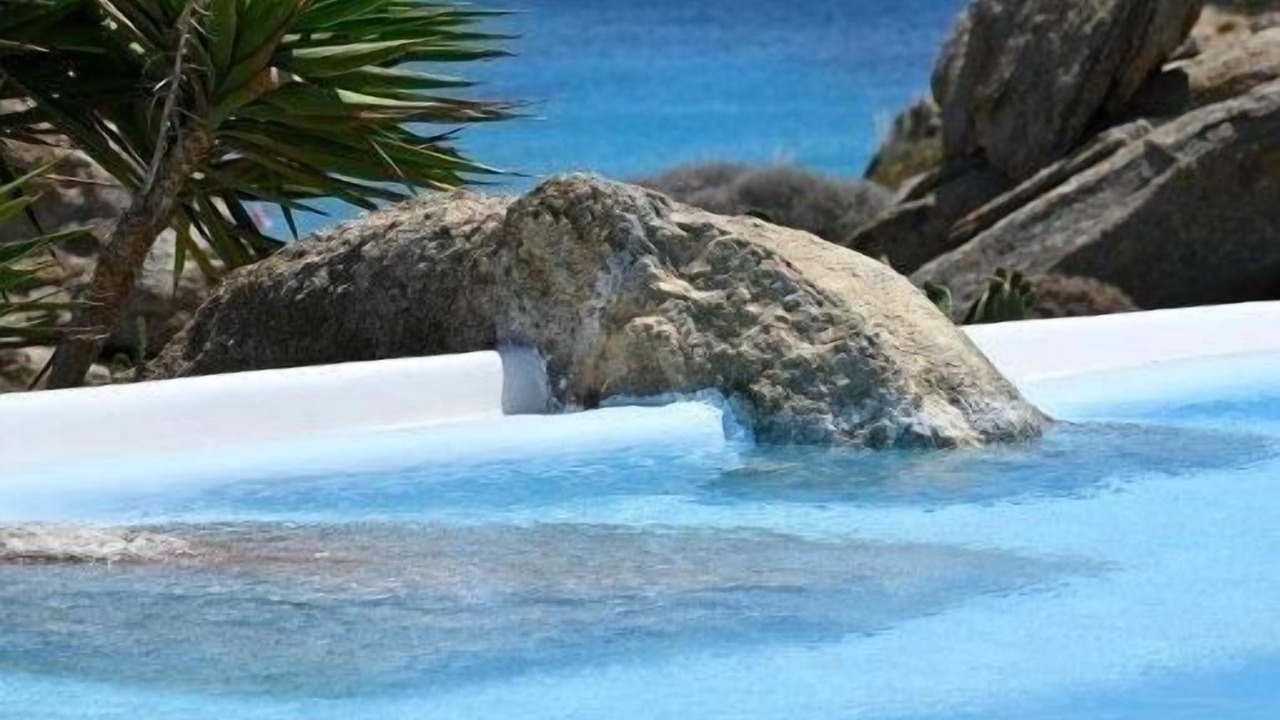 Photo of Outdoor in Paradise