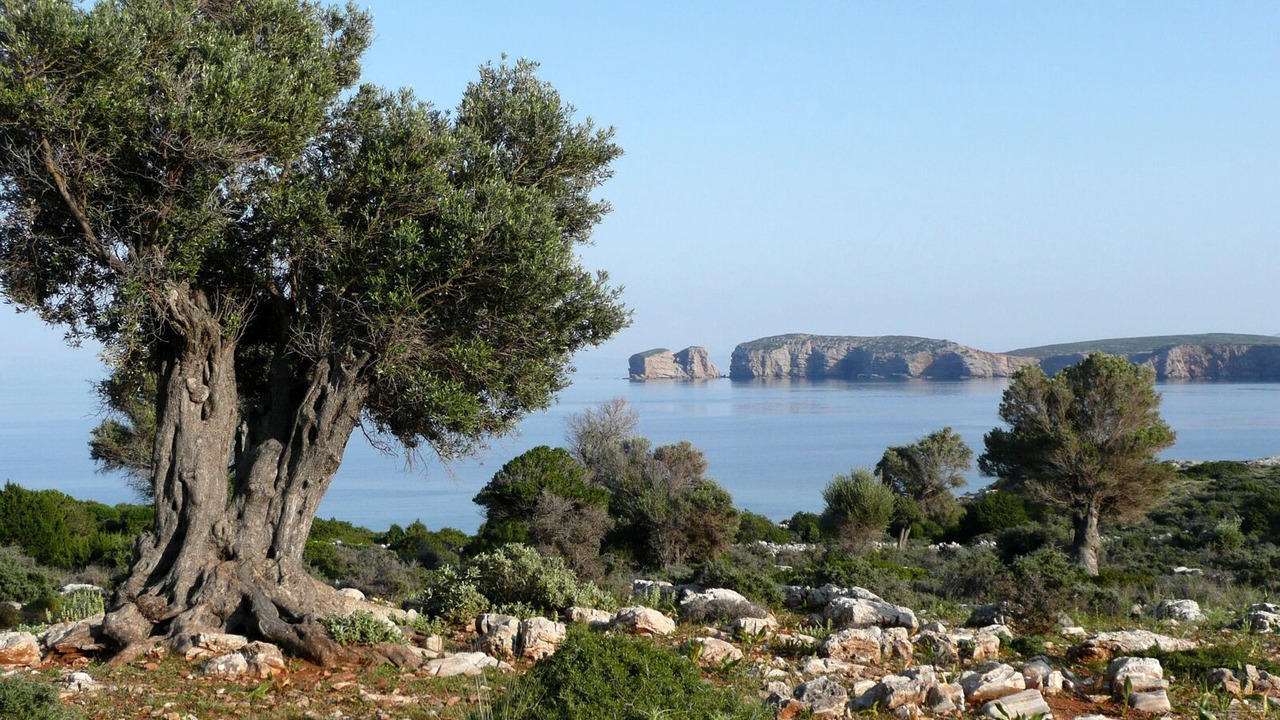 Photo of Bathroom in Naxos