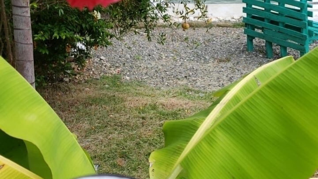 Photo of Outdoor in Juan de Herrera