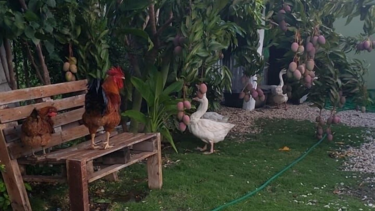 Photo of Outdoor in Juan de Herrera