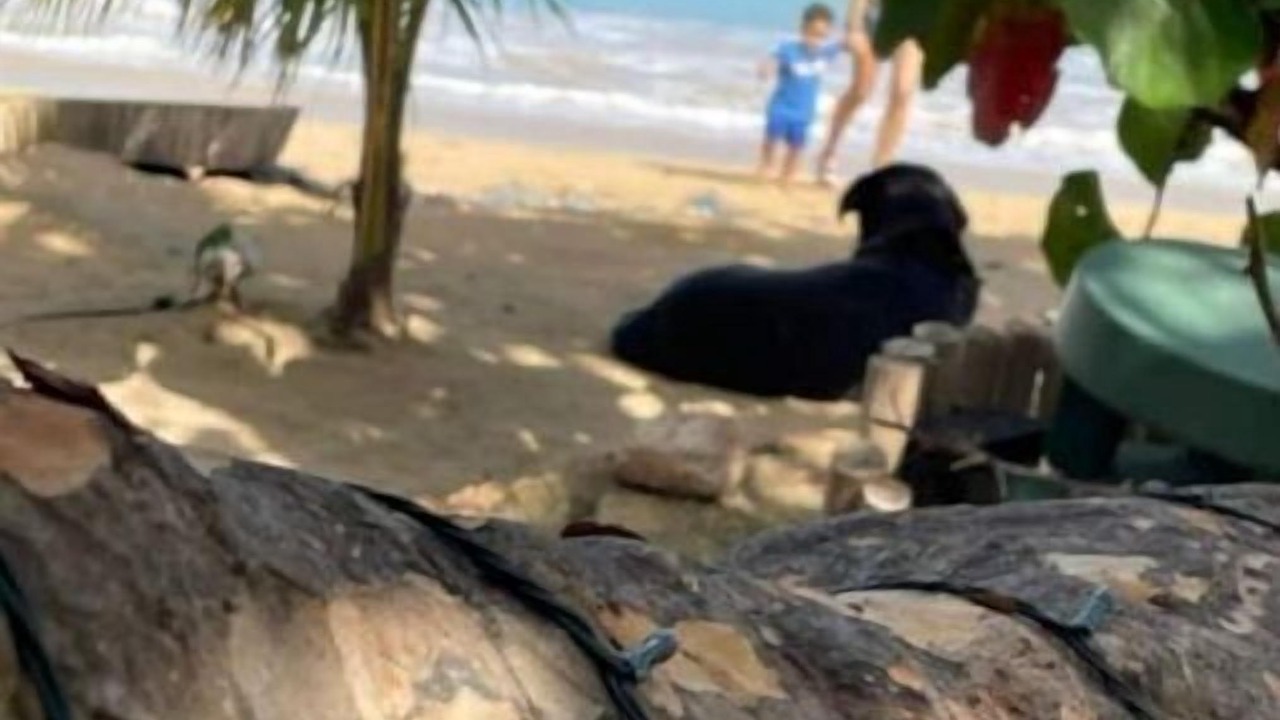 Photo of Others in Las Terrenas