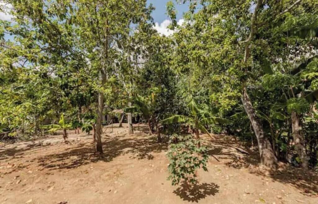Photo of Outdoor in Puerto Plata
