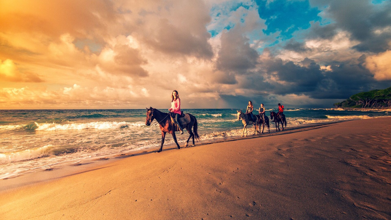 Photo of Others in Cabarete