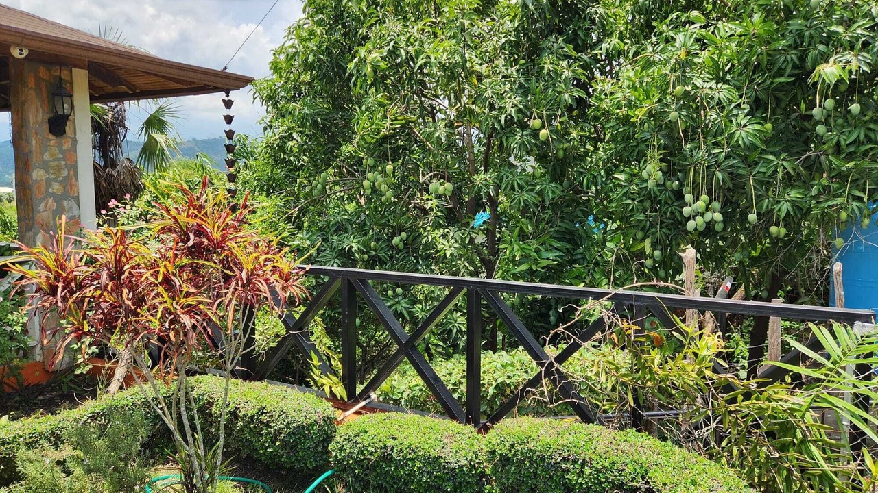 Photo of Outdoor in Inoa