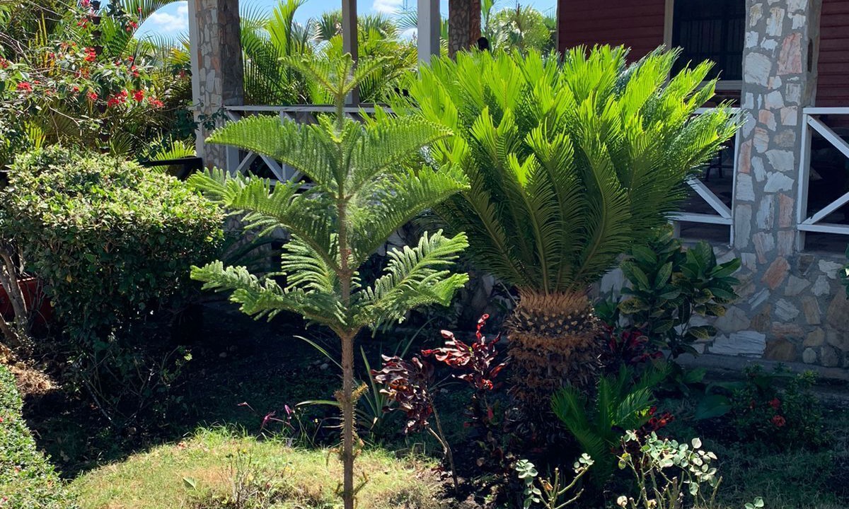 Photo of Outdoor in Inoa