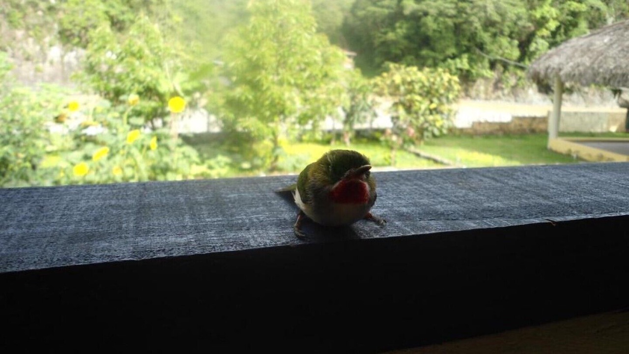 Photo of Outdoor in San Jose de Ocoa