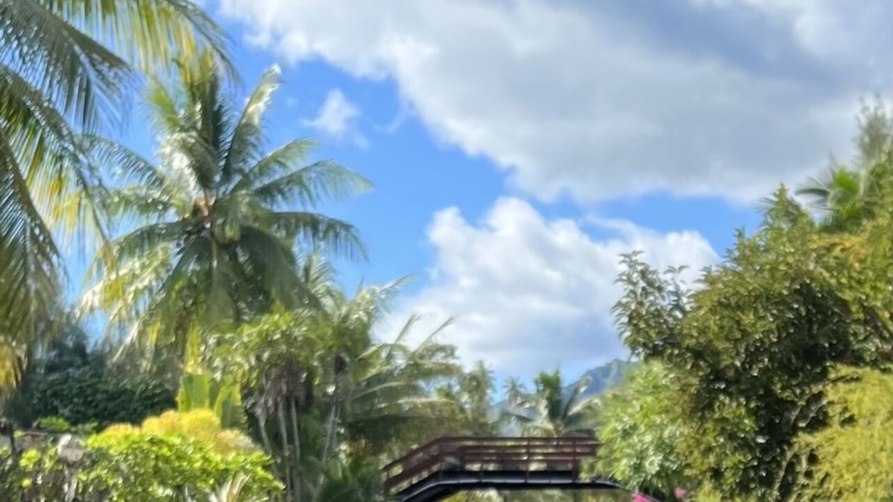Photo of Outdoor in Tiahura