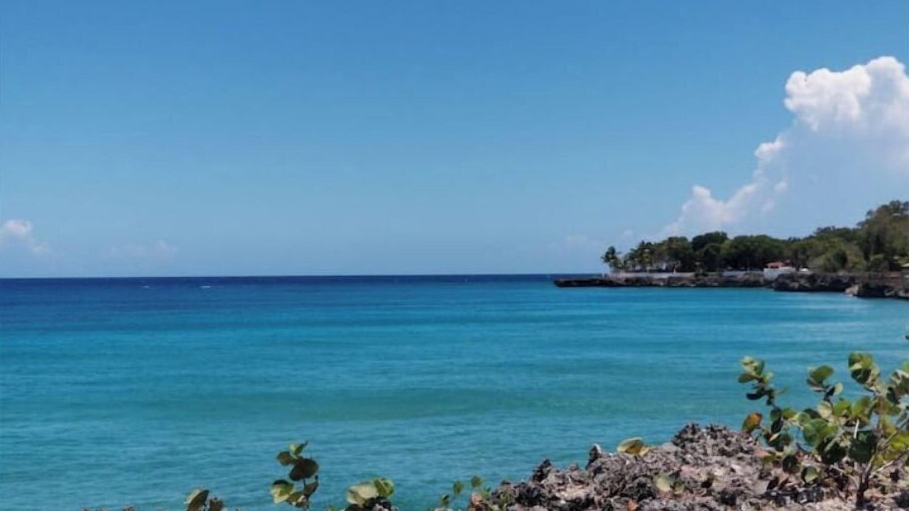 Photo of Others in Playa Chiquita