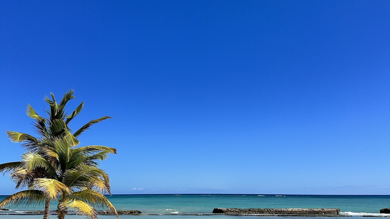 Photo of Others in Punta Cana