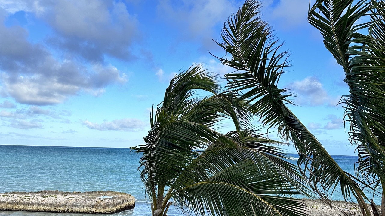 Photo of Others in Punta Cana