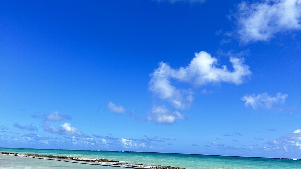 Photo of Others in Punta Cana