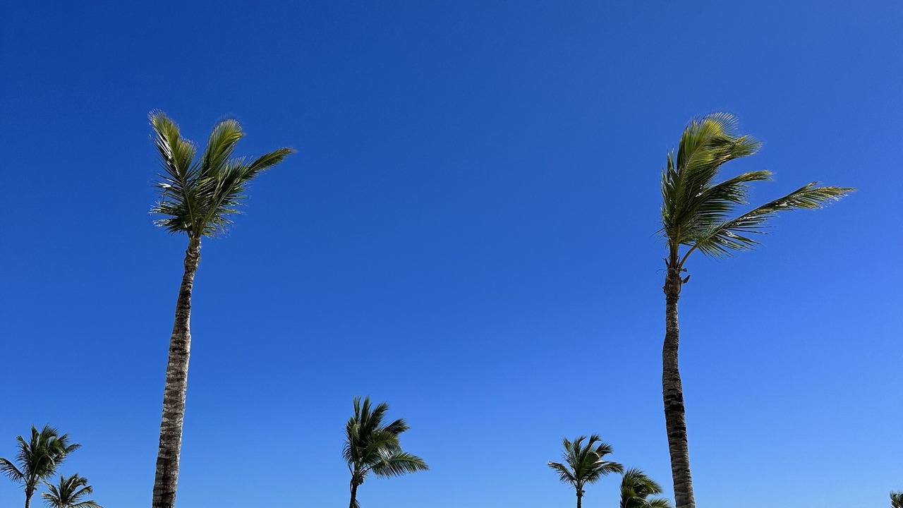 Photo of Outdoor in Punta Cana