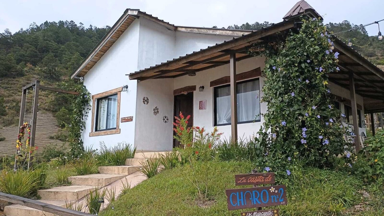 Photo of Outdoor in Constanza