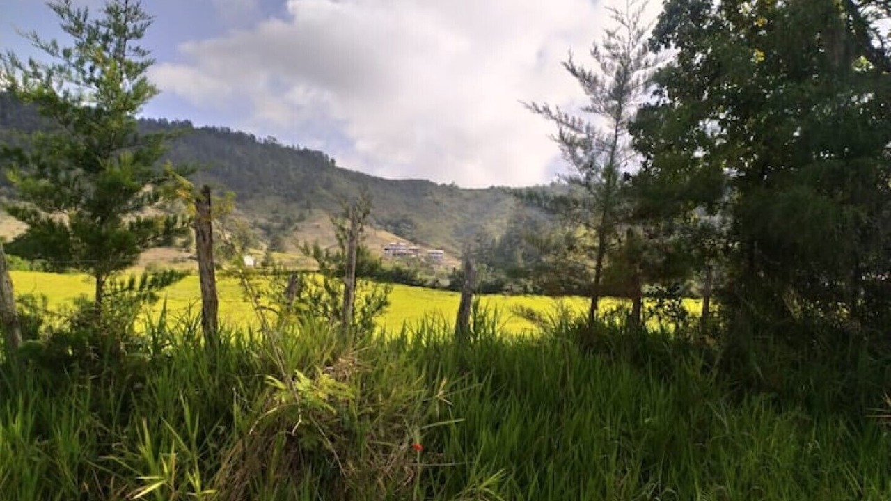 Photo of Others in Constanza