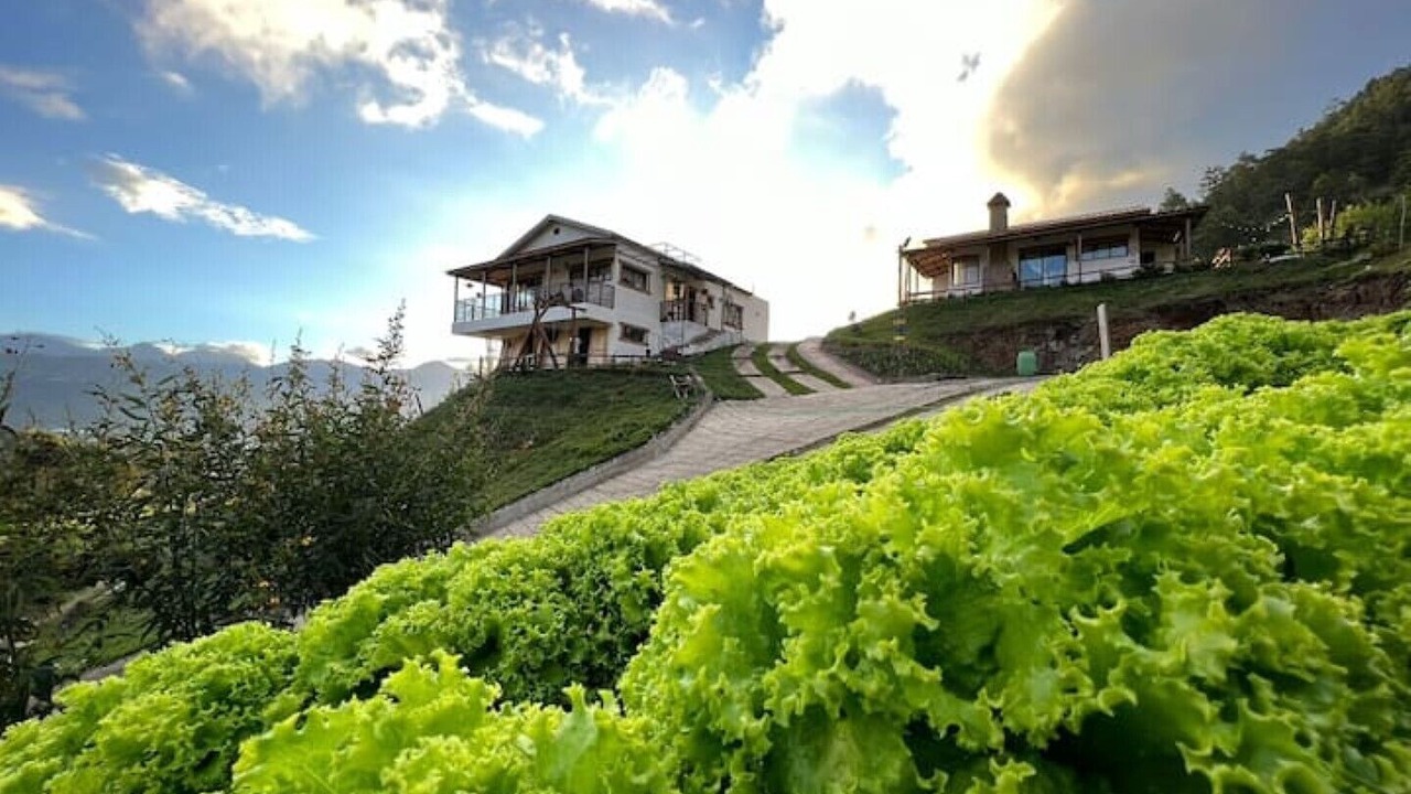 Photo of Outdoor in Constanza