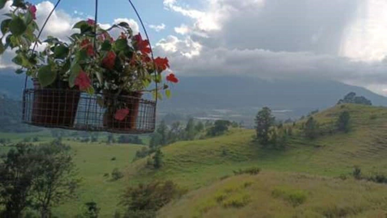 Photo of Outdoor in Constanza