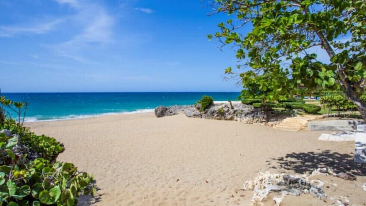 Photo of Others in Playa Chiquita