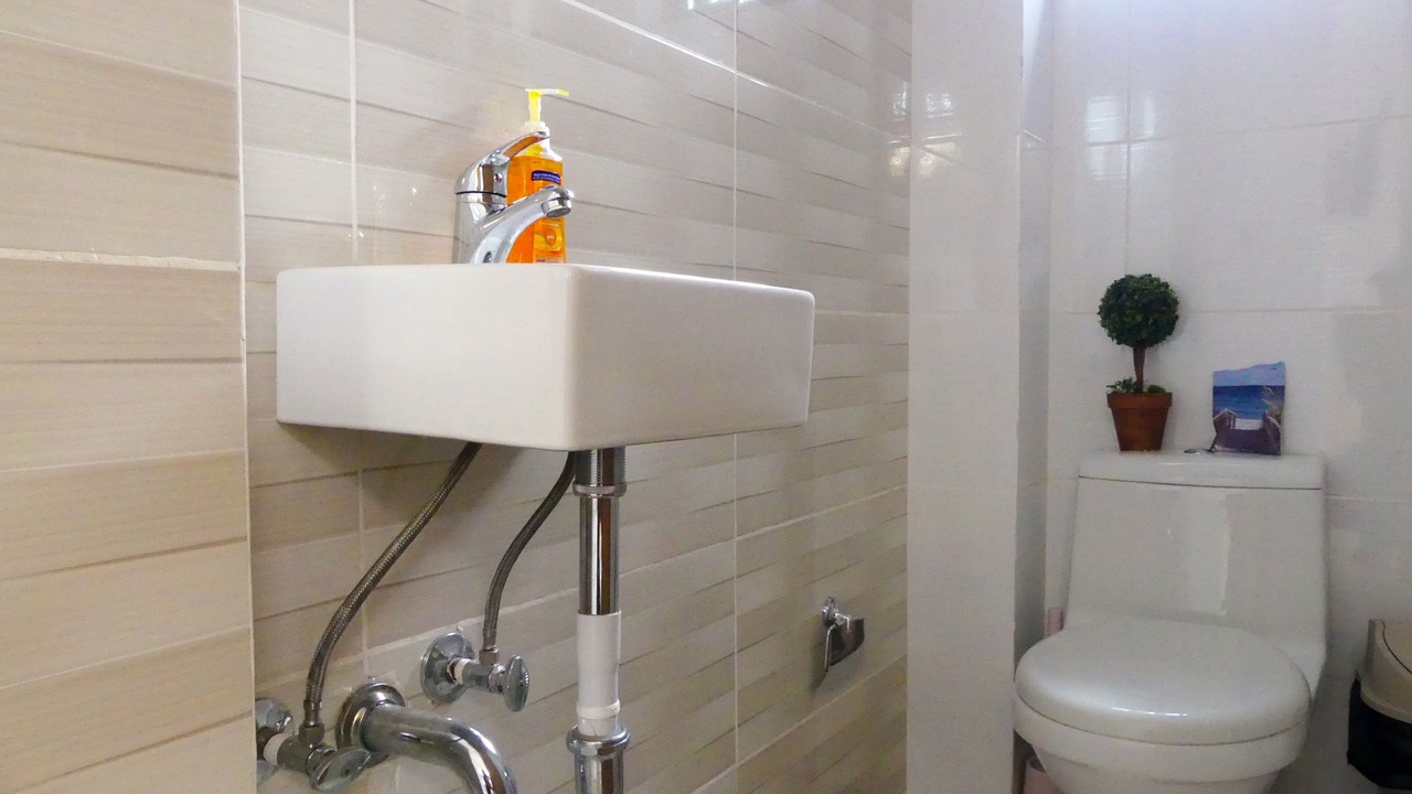 Photo of Bathroom in Santiago Province