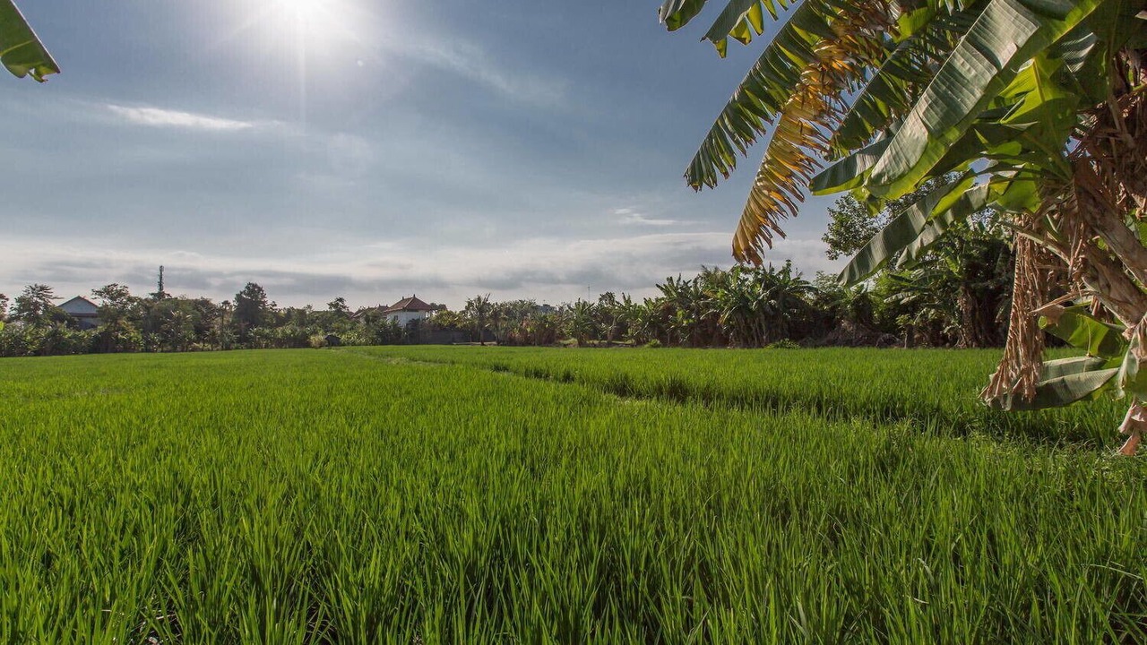 Photo of Outdoor in Central Seminyak