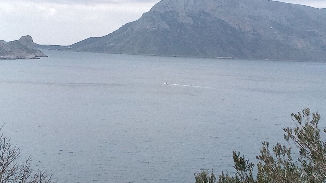 Photo of Others in Skalia