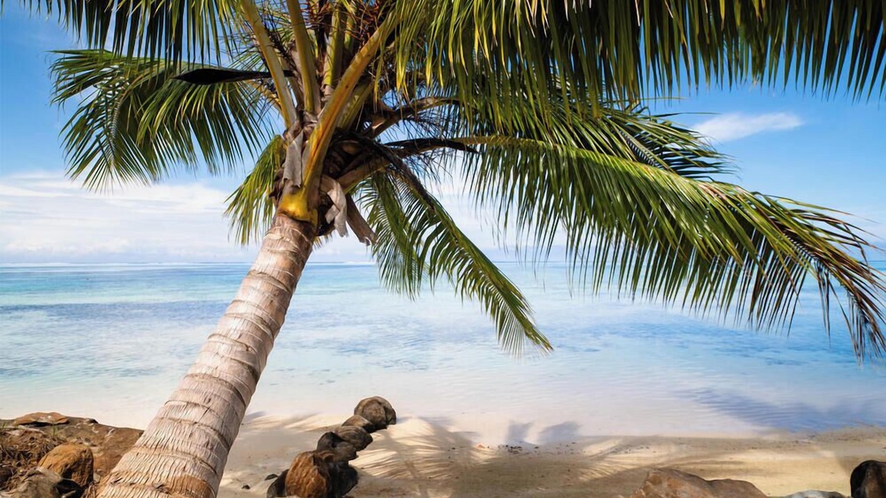 Photo of Others in Moorea-Maiao