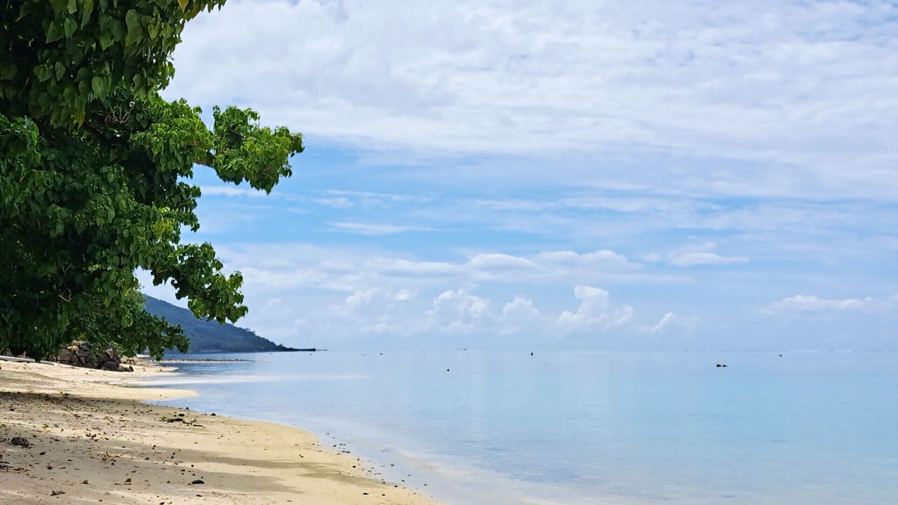 Photo of Others in Nu'urua
