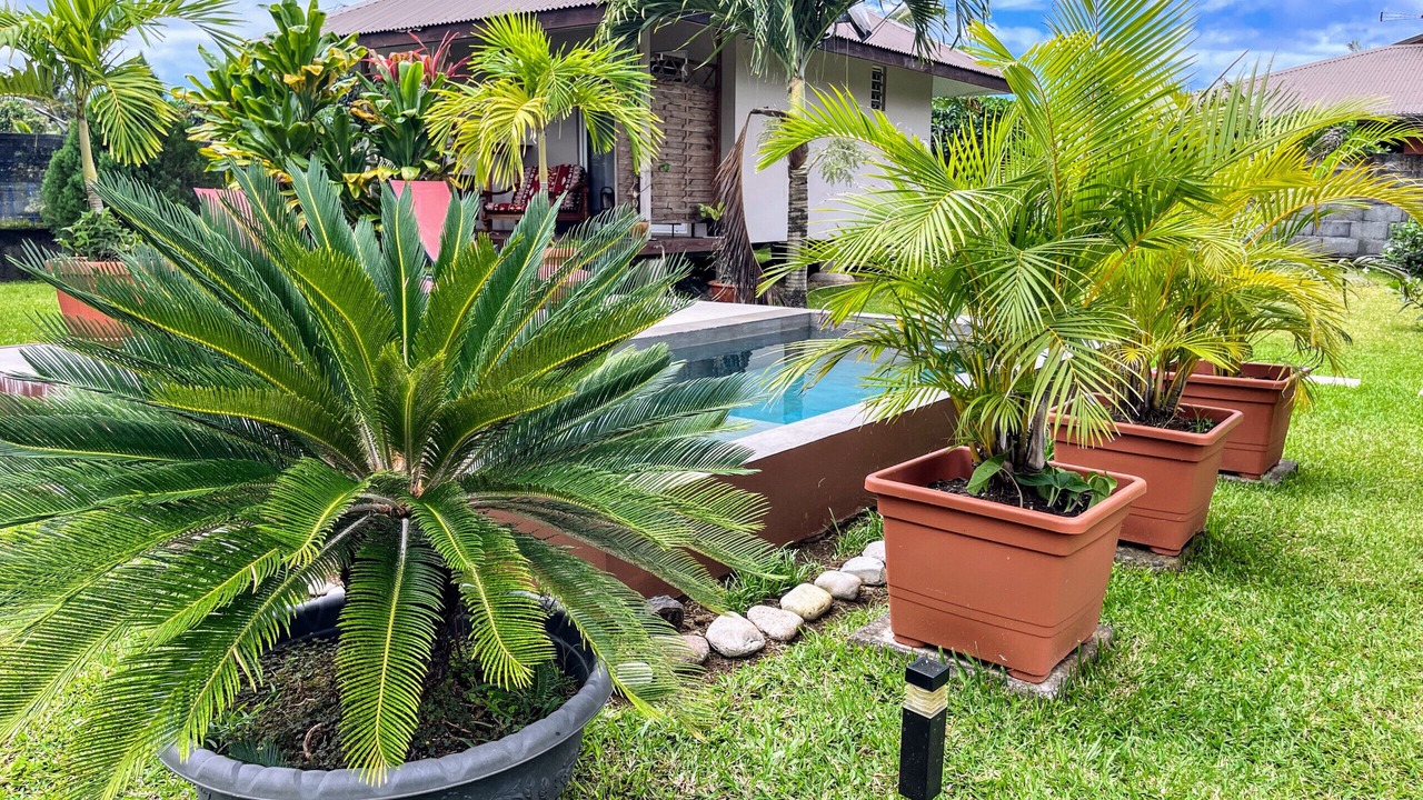 Photo of Outdoor in Afaahiti