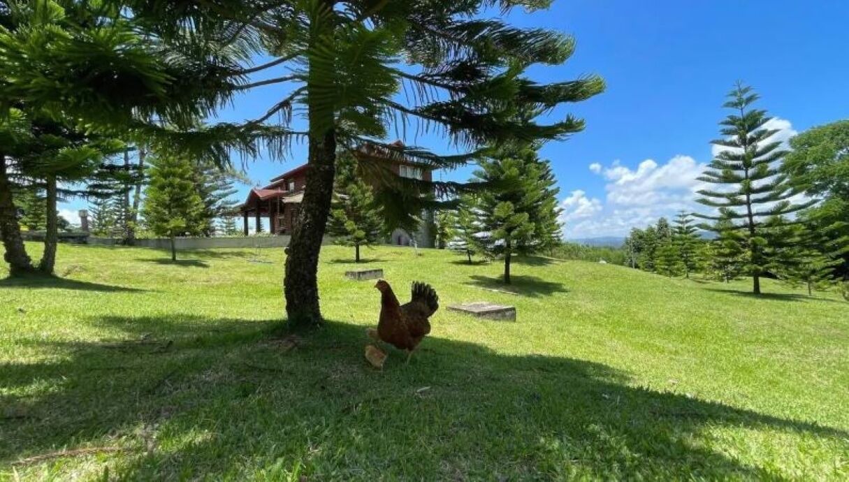 Photo of Outdoor in La Vega Province