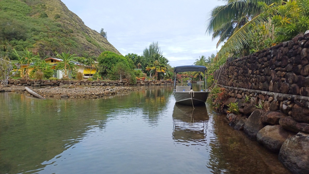 Photo of Others in Tiahura