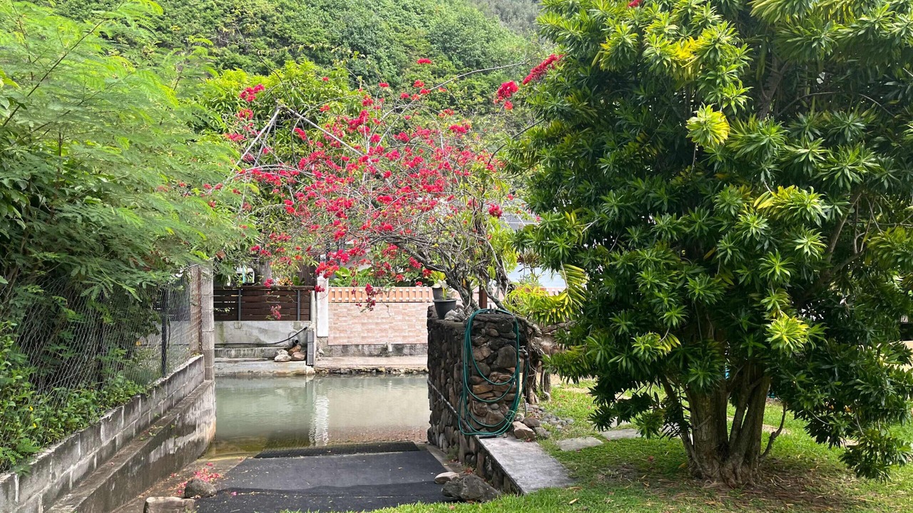 Photo of Outdoor in Tiahura