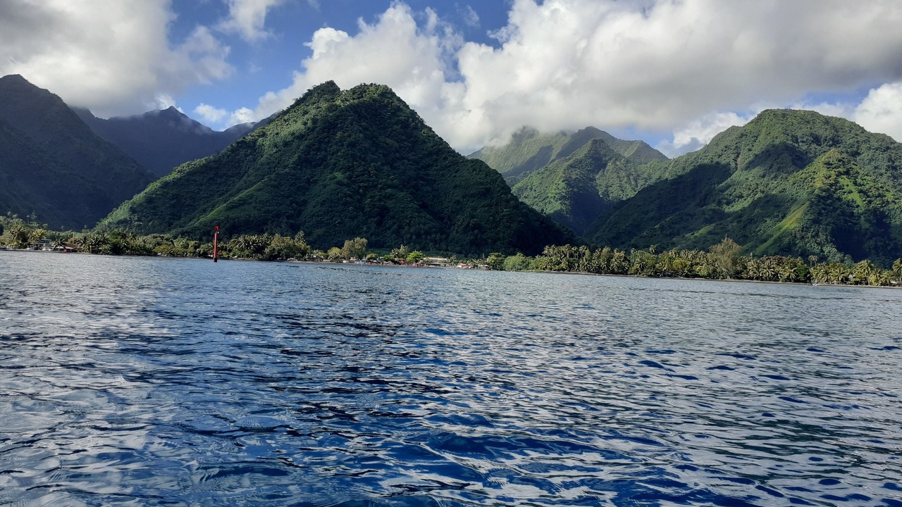 Photo of Outdoor in Teahupo'o