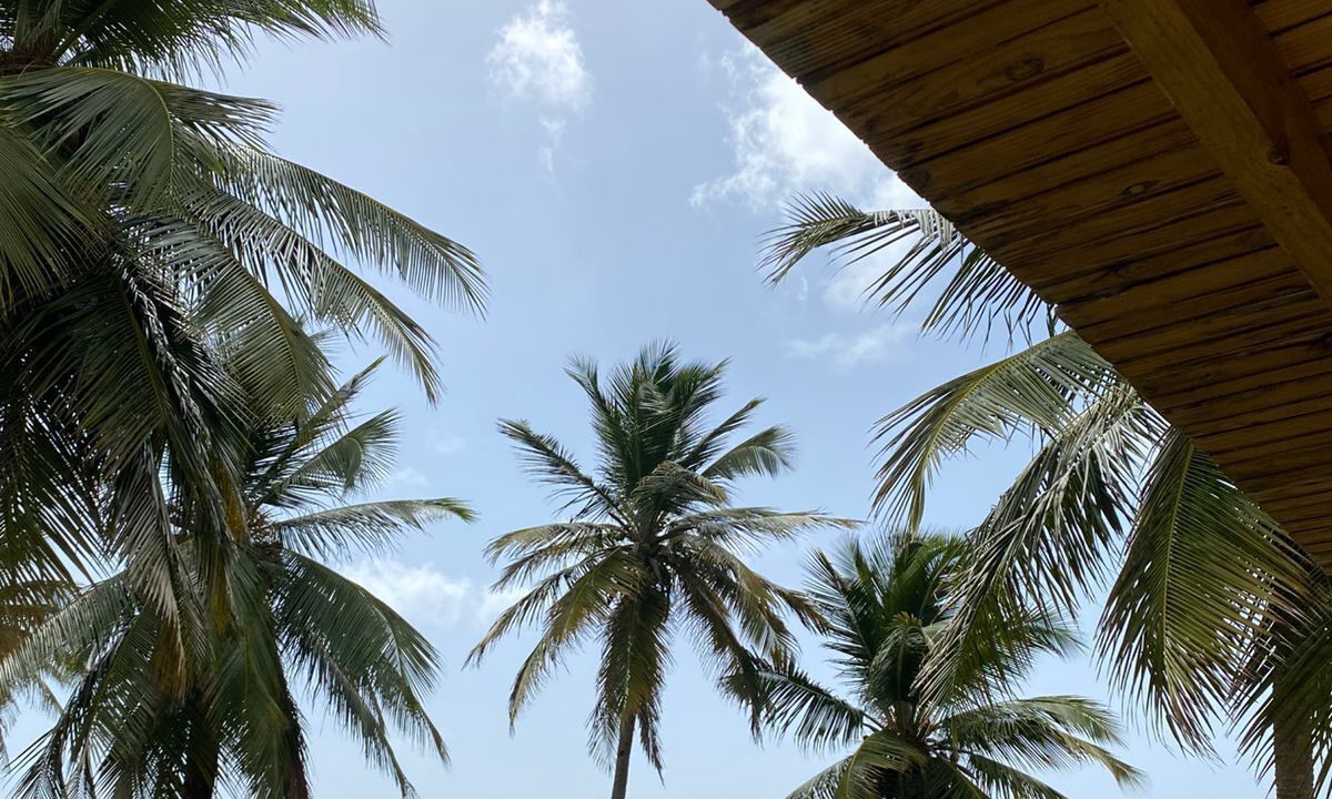 Photo of Outdoor in Los Patos