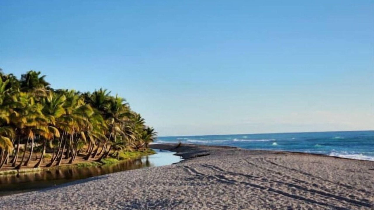 Photo of Others in Paraiso