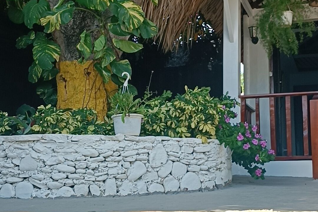 Photo of Outdoor in Imbert