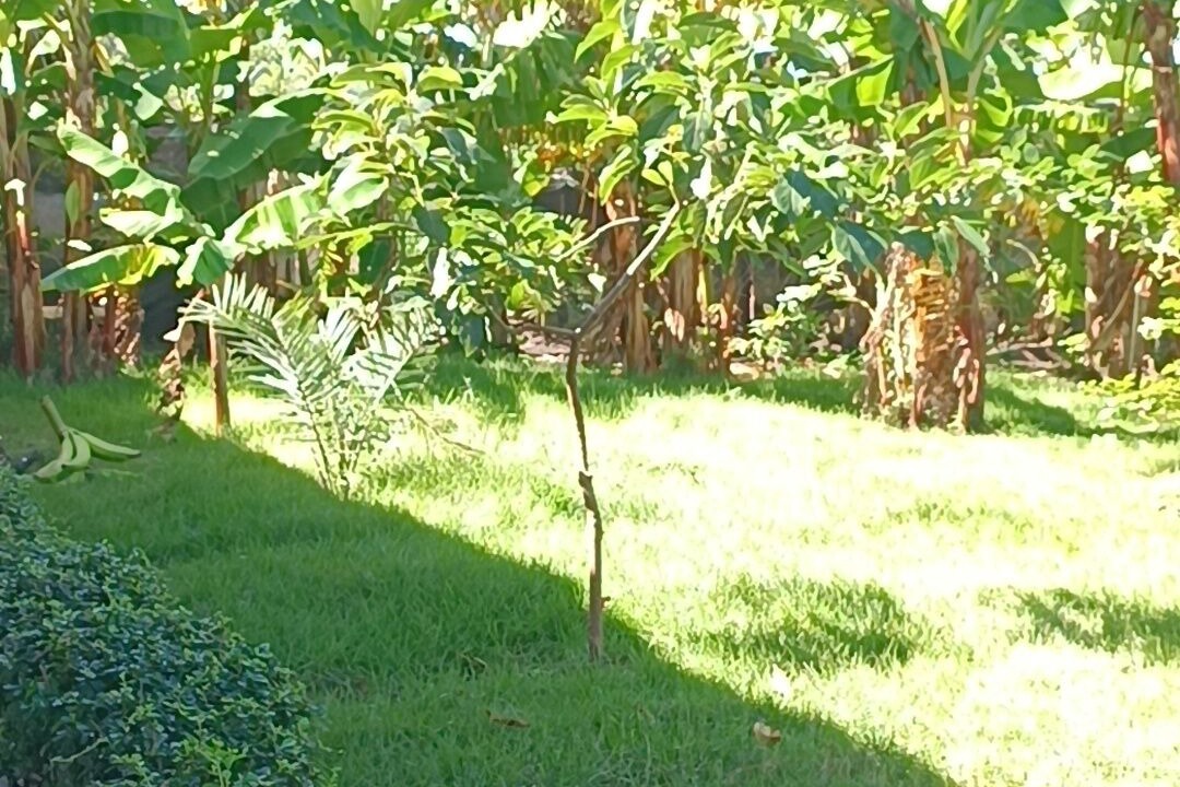 Photo of Outdoor in Imbert