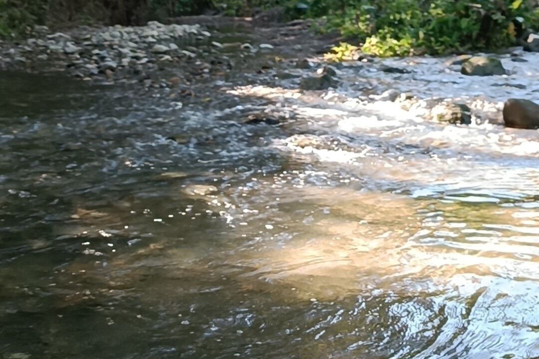 Photo of Outdoor in Imbert
