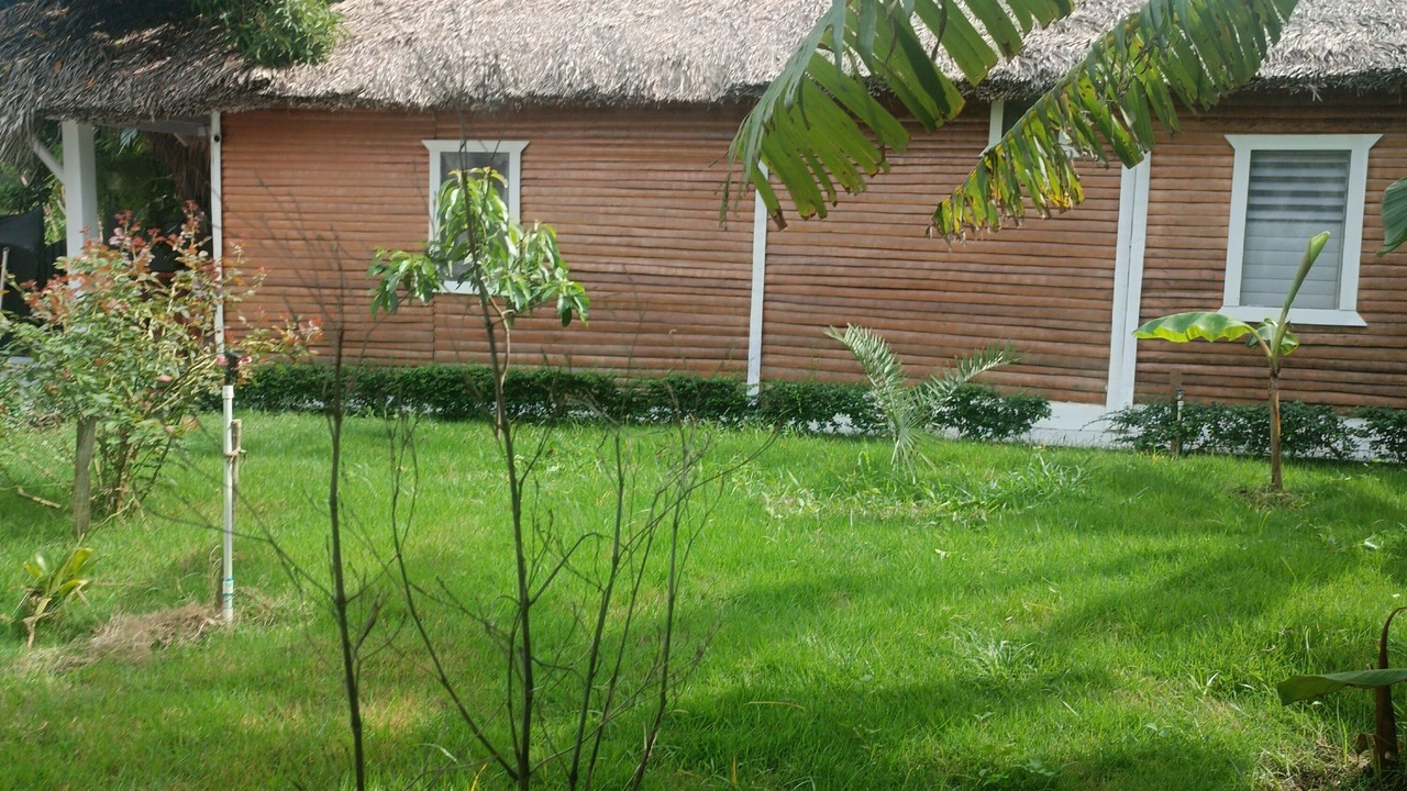 Photo of Outdoor in Imbert