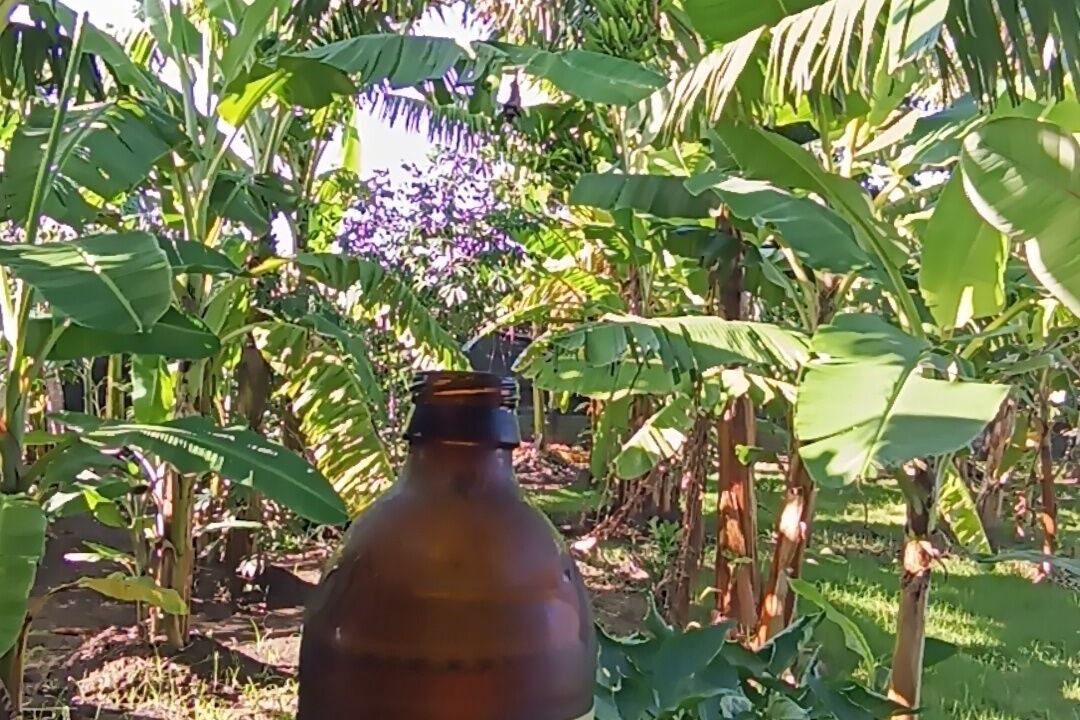 Photo of Outdoor in Imbert