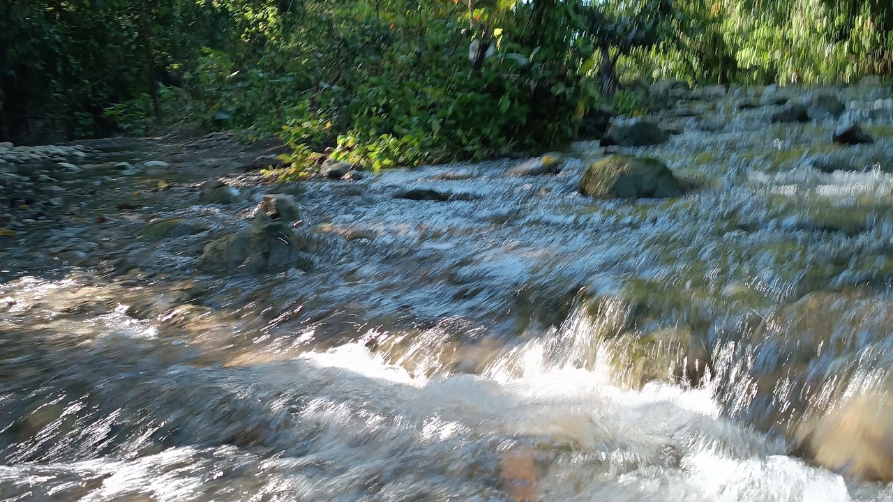 Photo of Outdoor in Imbert