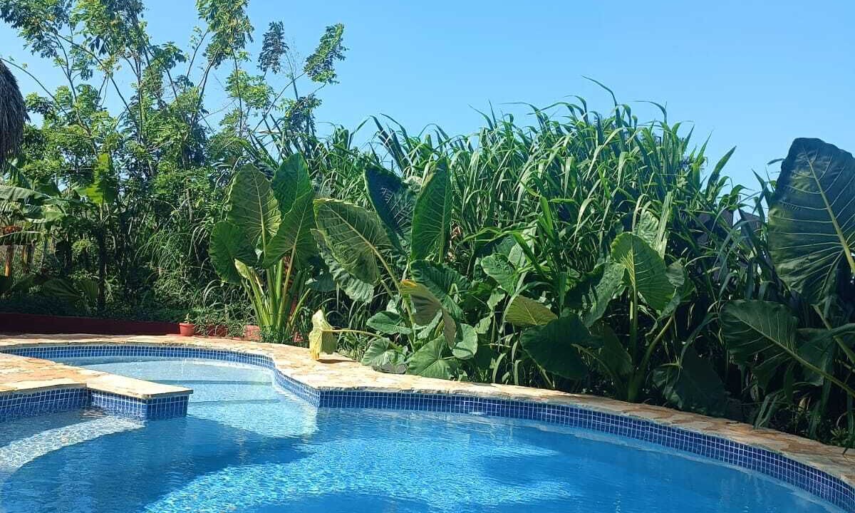 Photo of Outdoor in Imbert