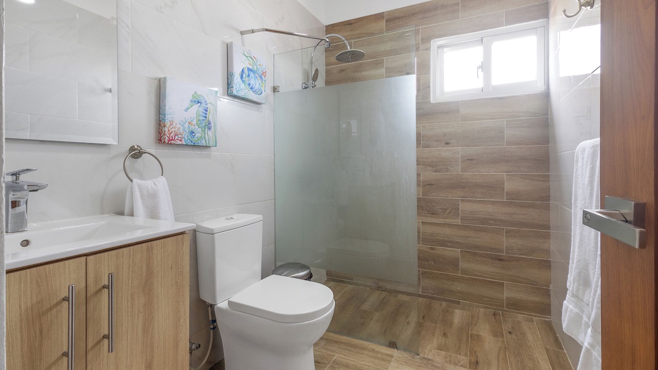 Photo of Bathroom in Punta Cana